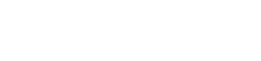 Seguridad El Escorpión